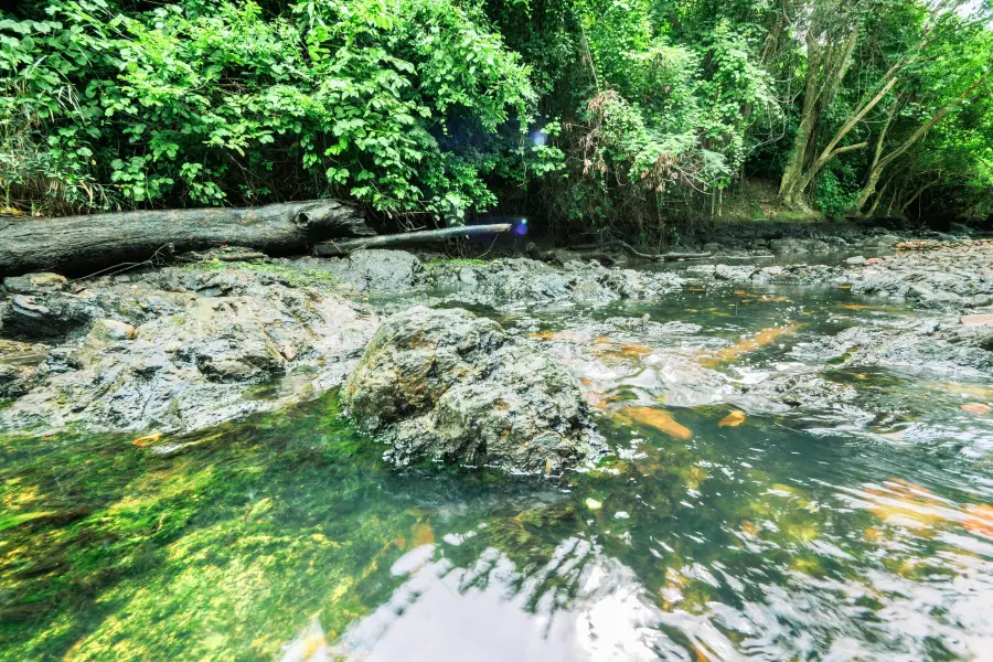 Kaeng Krachan National Park