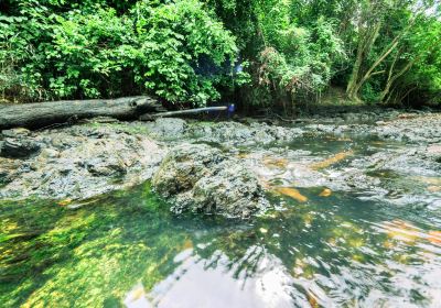 Kaeng Krachan National Park