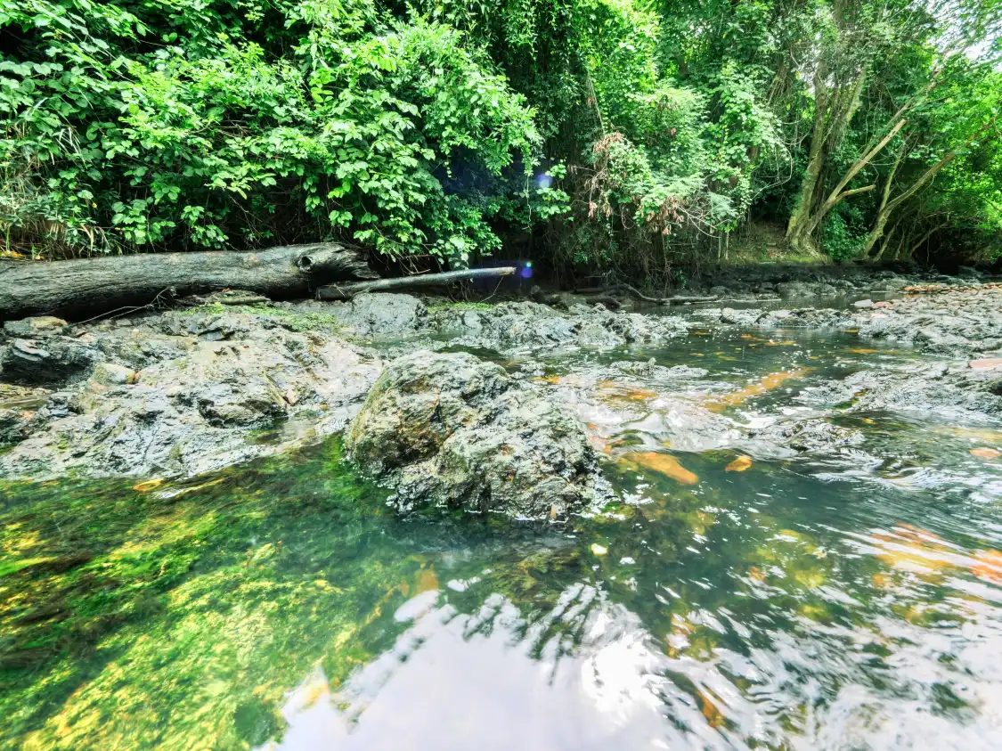 Các khách sạn gần Kaeng Krachan National Park