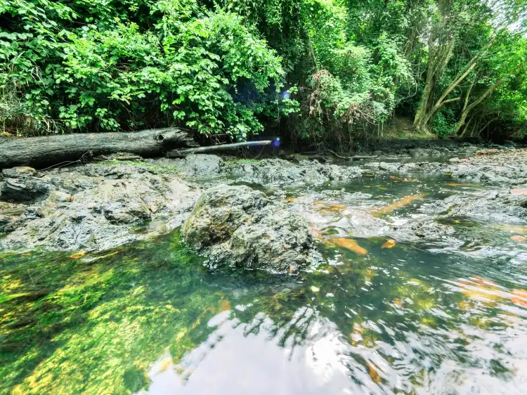 Kaeng Krachan District