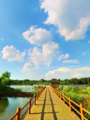 Shanxi Xiaohe National Wetland Park