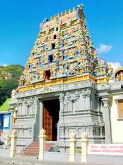 Arul Mihu Navasakthi Vinyagar Temple