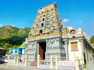 Arul Mihu Navasakthi Vinyagar Temple
