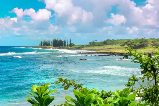 โรงแรมใกล้Hamoa Beach