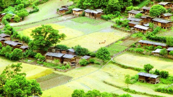 Qiunatong Village