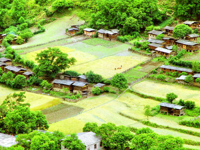 Qiunatong Village