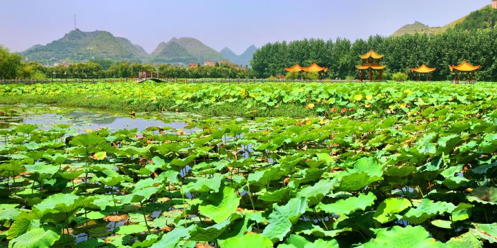 Anlong Zhaodi