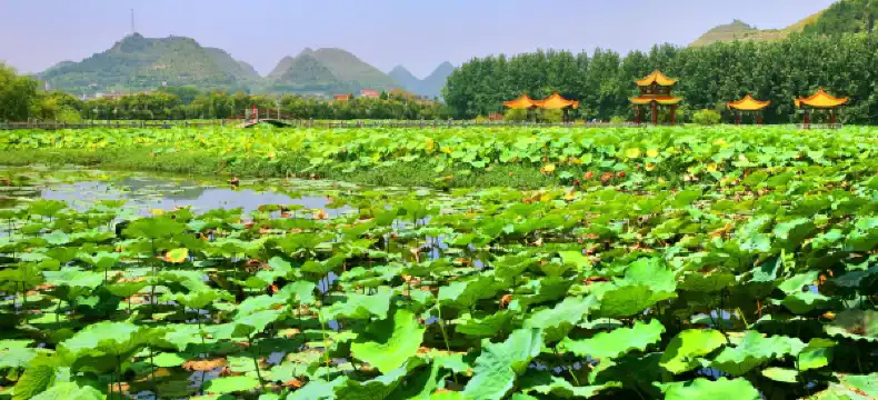 Hotels in Anlong County