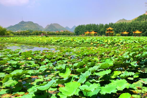Anlong Zhaodi