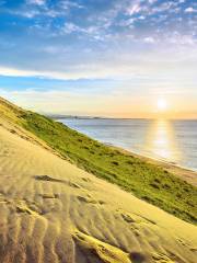 Dunas de Tottori