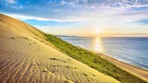 Tottori Sand Dunes