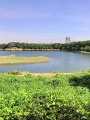 Osaka Nankou Bird Sanctuary