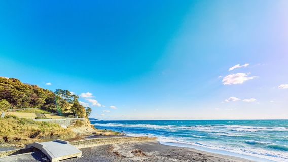 kamakurakaihinkouen inamuragasakichiku