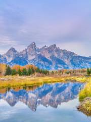 Schwabacher Landing