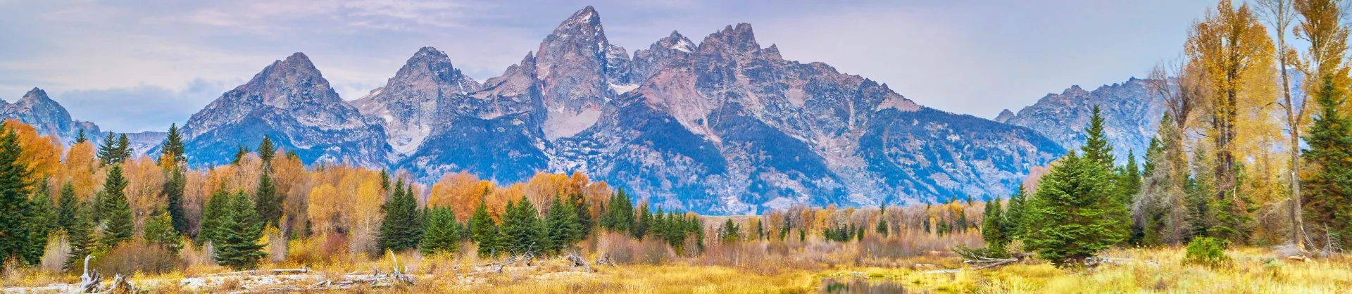 Fall Viewing Attractions