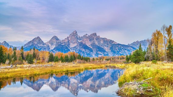 Schwabacher Landing