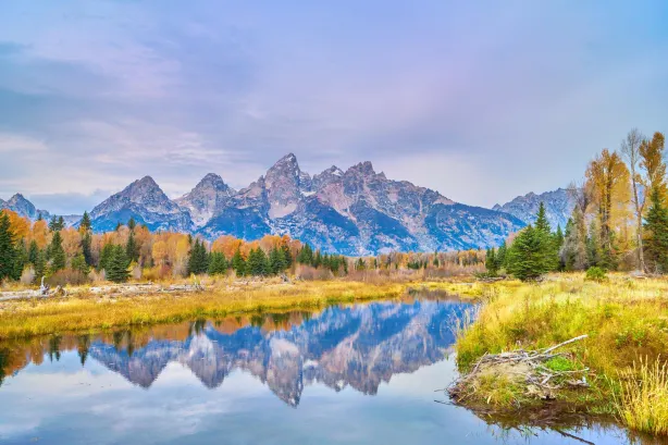 Schwabacher Landing
