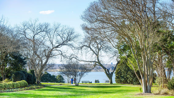 Даллас Арборетум энд Ботаникал Гарден