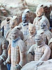 Museo dei guerrieri e dei cavalli di terracotta di Qin