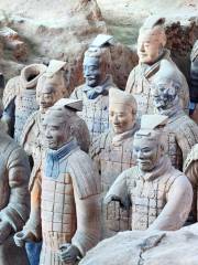 Museo de los Guerreros de Terracota y Caballos de Qin Shihuang