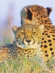 Okavango Delta