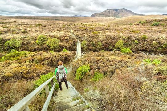 Tongariro Alpine Crossing
