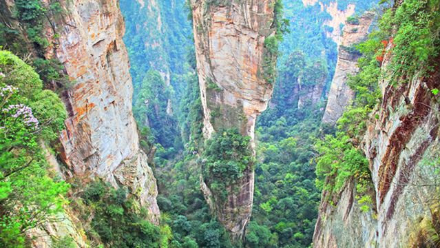 映画 アバター の舞台へ 世界遺産 武陵源天子山と袁家界 黄石寨 天門山など張家界2日間 昼食付き ホテル送迎 日本語ガイド 1名出発 Trip Com