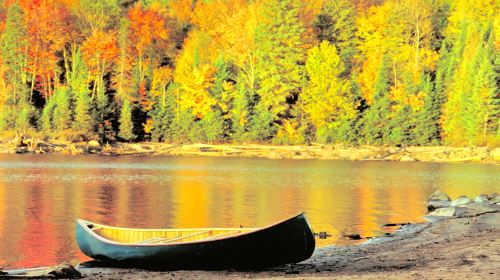 Algonquin Provincial Park