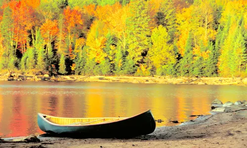 Algonquin Provincial Park