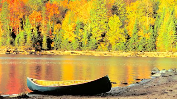 Algonquin Provincial Park