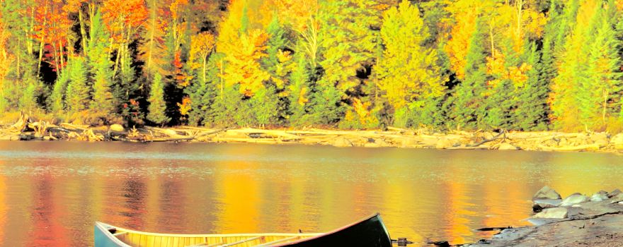 Algonquin Provincial Park