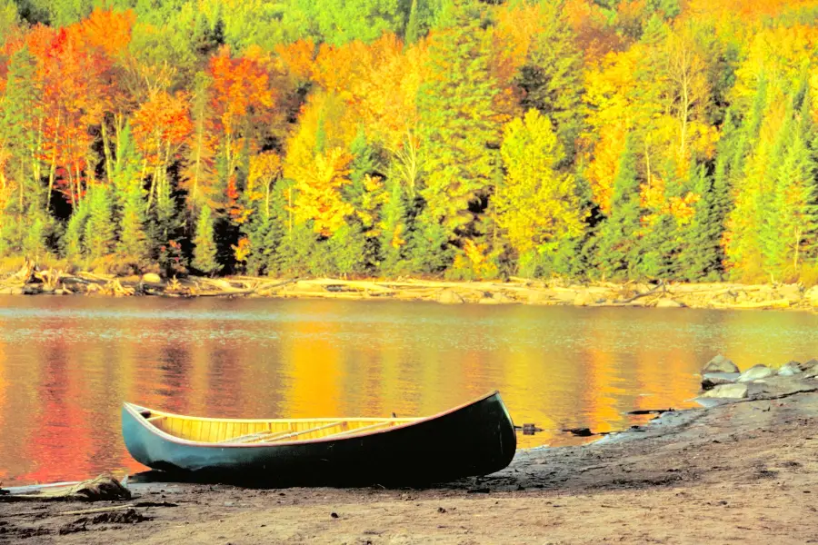 Parc provincial Algonquin