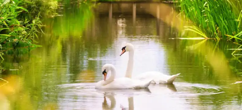 里士滿住宿飯店