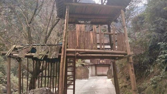 Longbaoshan Ziran Sceneic Area