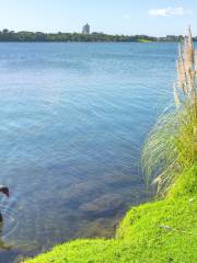 Lake Pupuke