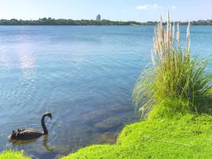 Lake Pupuke