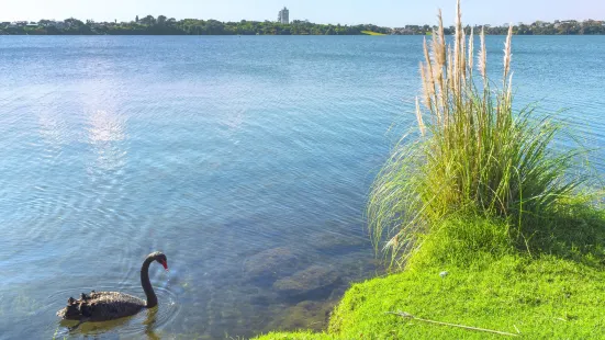 Lake Pupuke