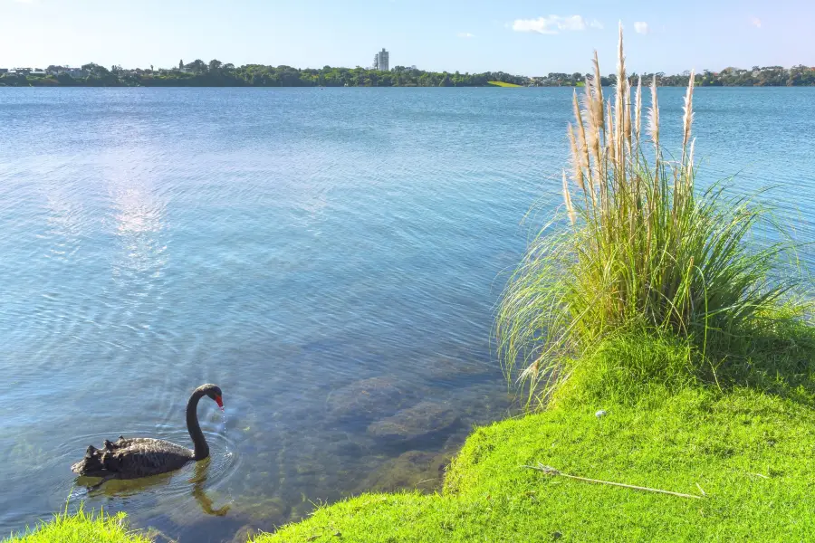 Lake Pupuke