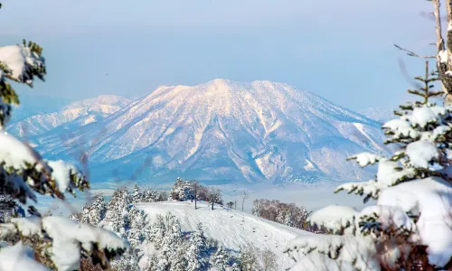 สกีรีสอร์ทชิงะโคเก็น