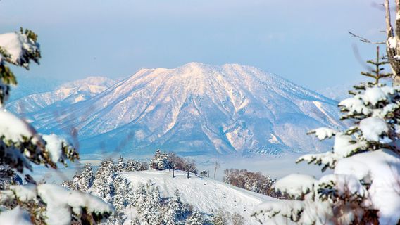 Shiga Kogen