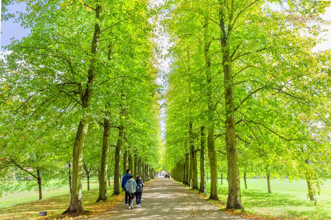 Hotels near Fellows' Garden