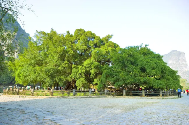 Отели в районе Древний город Синпин