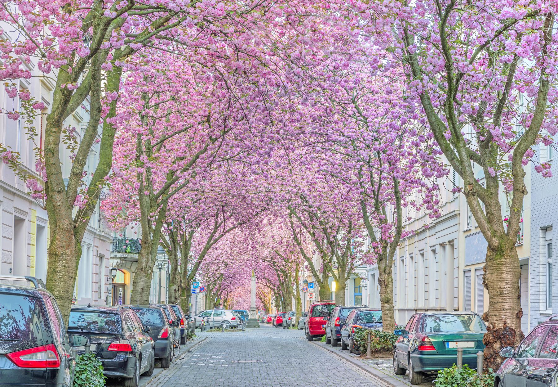 Compare 5 airports near Bonn