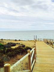 Puerto Cabopino beach & marina