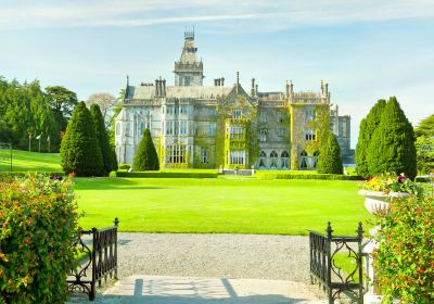 Adare