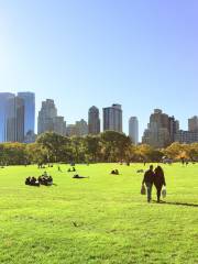 Sheep Meadow