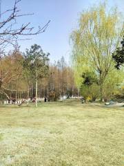 Zhengyang Park