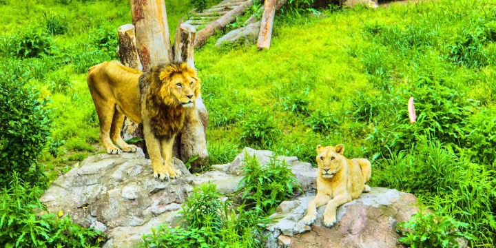 Ningbo Wildlife Park