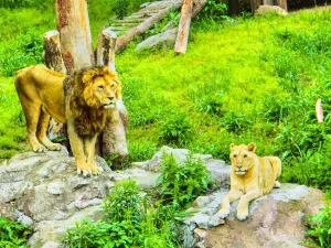 Ningbo Wildlife Park