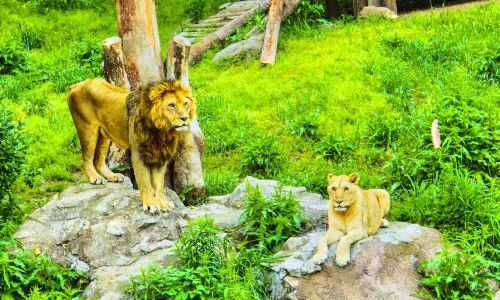 Ningbo Wildlife Park